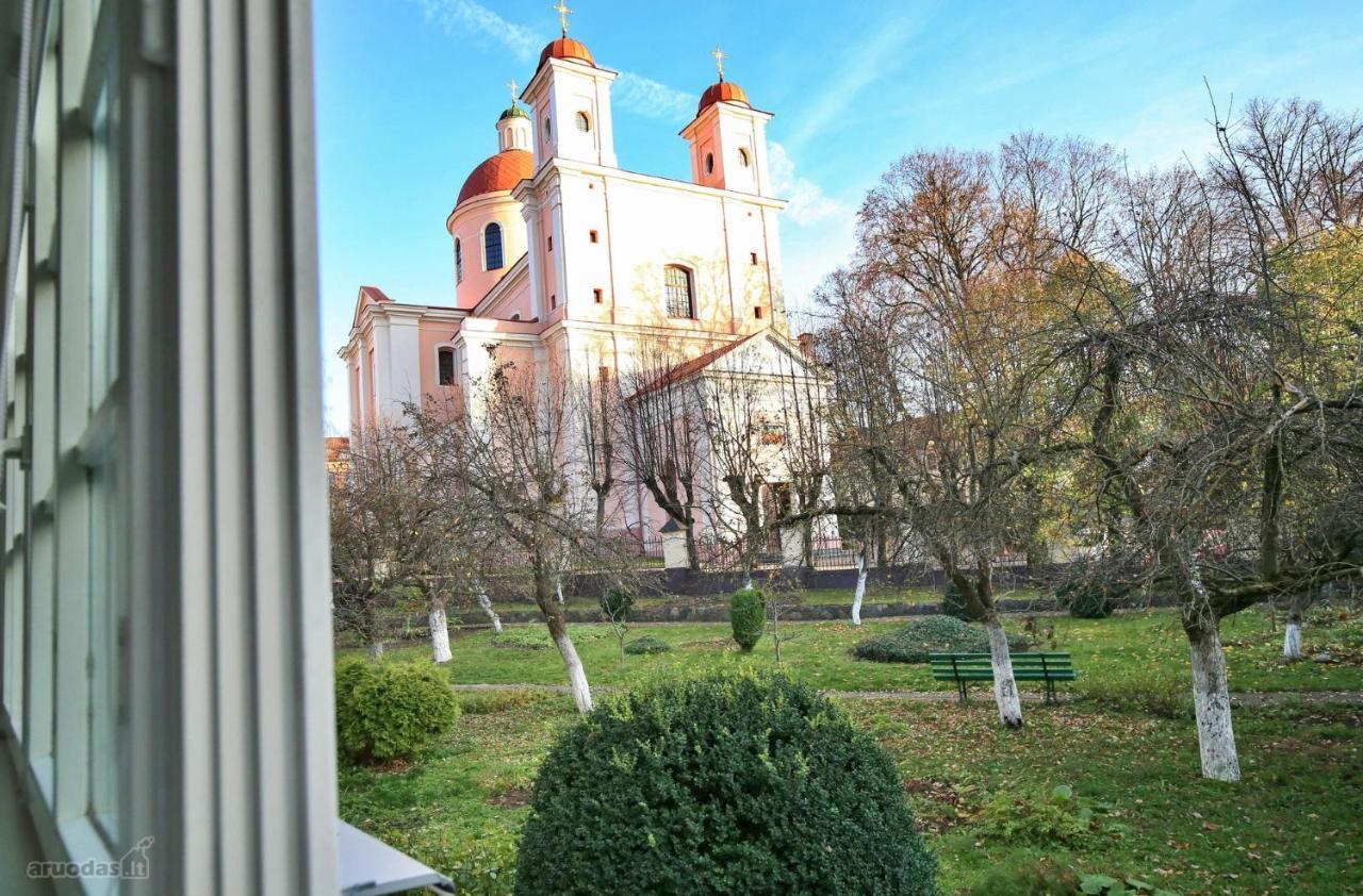 S3 Apartments Heart Of Old Town Vilnius Dış mekan fotoğraf